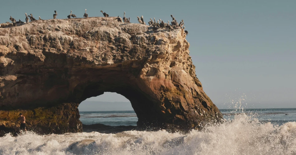 Best 10 Things to Do In Santa Cruz