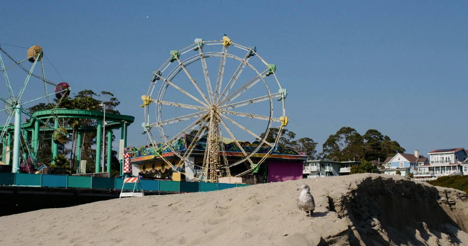 Best 10 Things to Do In Santa Cruz